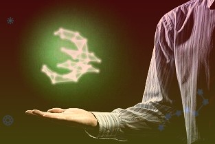 前三季度295家上市公司发布董责险投保计划已有险企收到理赔申请